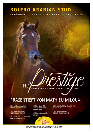 Inserat HD Prestige